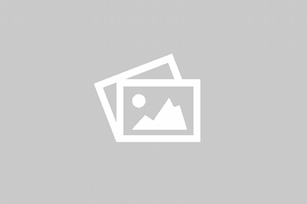 FLEX G750DBR GRU GIREVOLE TRAZIONE ELETTRICA